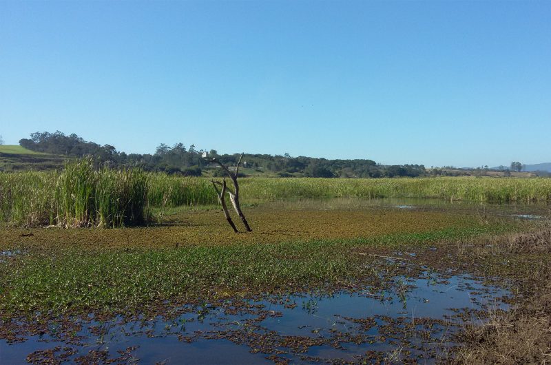 Inventários e Levantamentos Florísticos