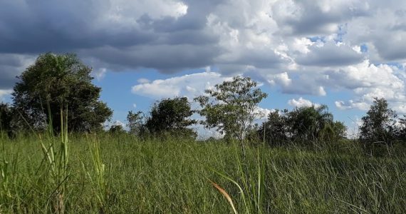 EIA/RIMA Estudo Impacto