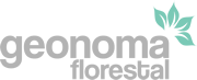 Geonoma Florestal