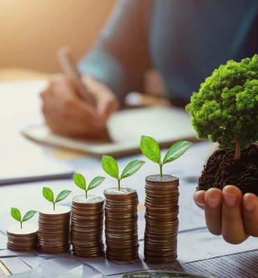 consultoria ambiental