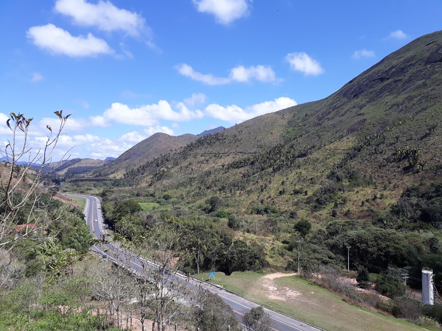 Visão geral da área de restauração florestal